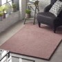 Ripley Lustrous Faux Fur Rug Mink Pink - 170x120cm