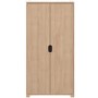 2 Door Wardrobe With Oak Finish